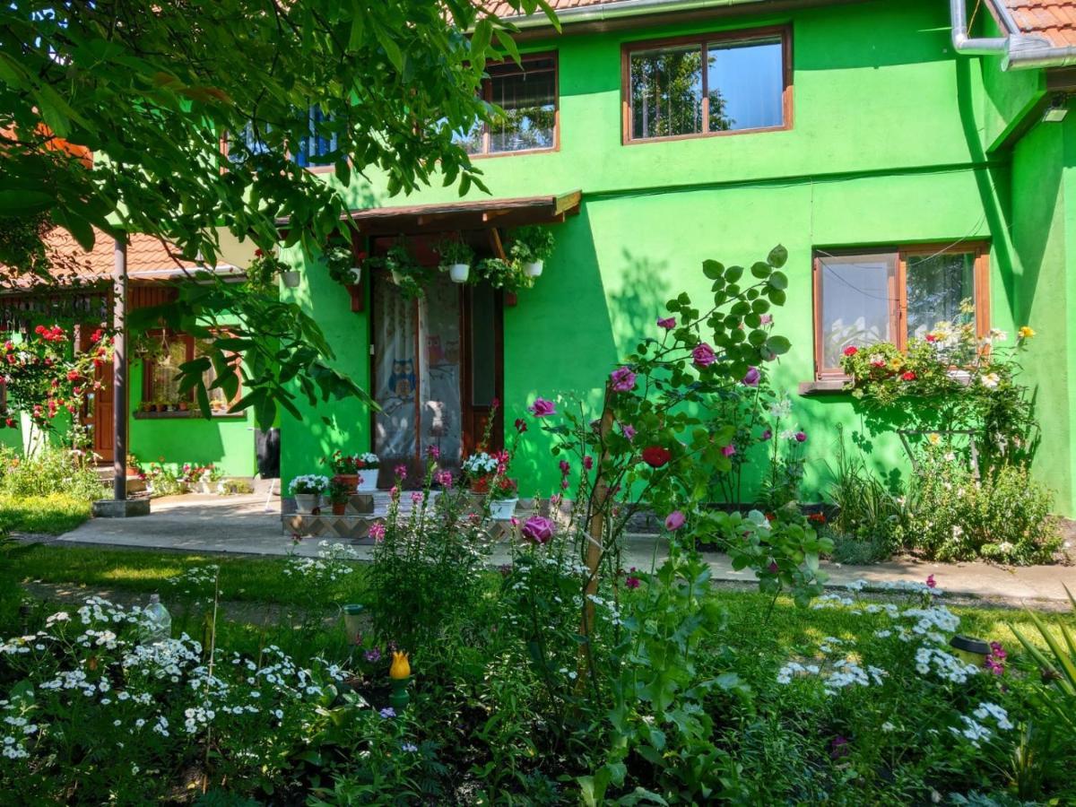 Hotel Csergő Ildikó vendégház Lăzarea Esterno foto